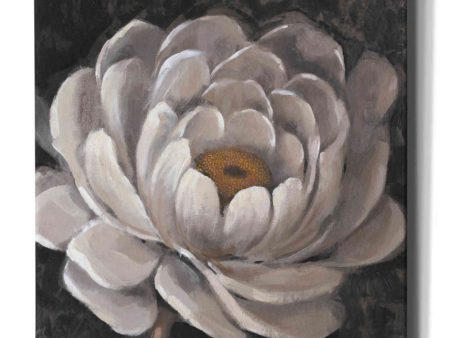 Nuetral Fleur II  by Tim O Toole, Canvas Wall Art Online