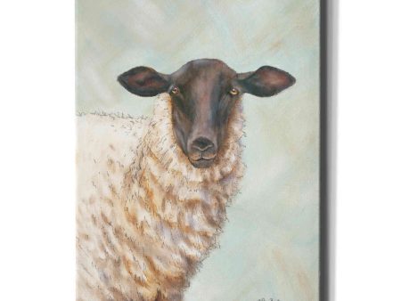 Farm Sheep  by Pam Britton, Canvas Wall Art on Sale