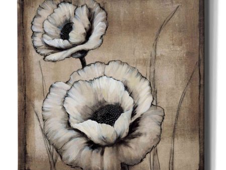 Neutral Poppies II  by Tim O Toole, Canvas Wall Art Sale