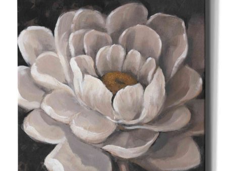 Neutral Fleur I  by Tim O Toole, Canvas Wall Art Sale