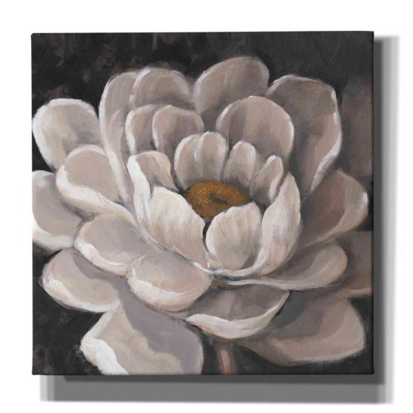 Neutral Fleur I  by Tim O Toole, Canvas Wall Art Sale