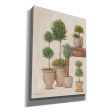 Potting Bench & Topiaries I  by Pam Britton, Canvas Wall Art Supply