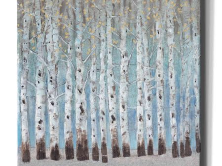 Into the Forest II  by Tim O Toole, Canvas Wall Art Online Hot Sale