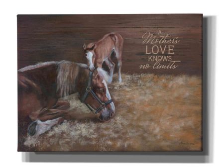 A Mother s Love  by Pam Britton, Canvas Wall Art on Sale