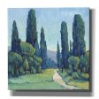 Cypress Path II  by Tim O Toole, Canvas Wall Art Cheap