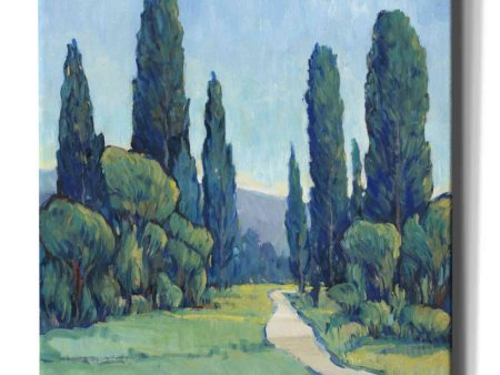 Cypress Path II  by Tim O Toole, Canvas Wall Art Cheap