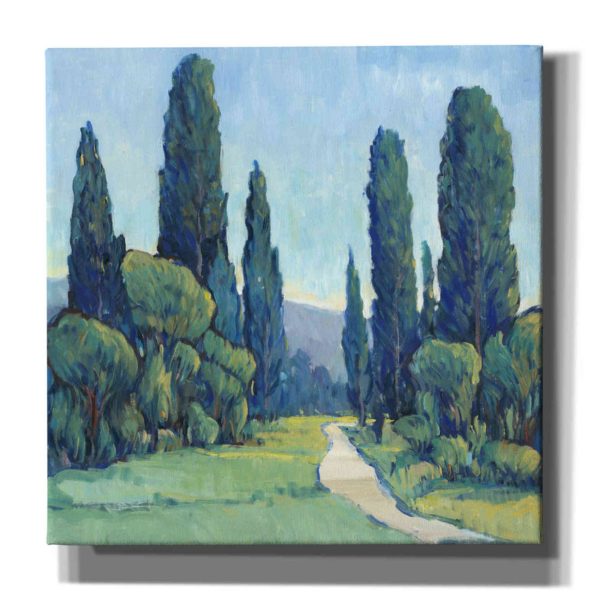 Cypress Path II  by Tim O Toole, Canvas Wall Art Cheap