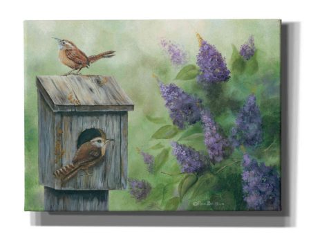 Wrens & Lilacs  by Pam Britton, Canvas Wall Art For Cheap