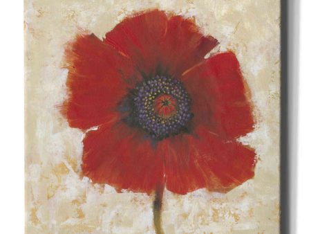 Red Poppy Portrait II  by Tim O Toole, Canvas Wall Art For Cheap