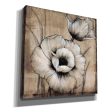 Neutral Poppies I  by Tim O Toole, Canvas Wall Art Online Sale