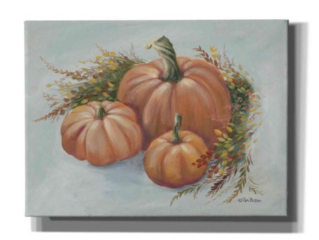 Harvest Arrangement I  by Pam Britton, Canvas Wall Art Online Hot Sale