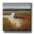 Marsh Land I  by Tim O Toole, Canvas Wall Art Discount