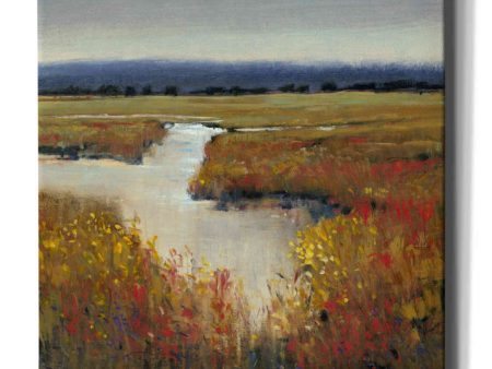 Marsh Land I  by Tim O Toole, Canvas Wall Art Discount