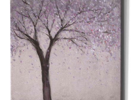 Spring Blossom II  by Tim O Toole, Canvas Wall Art Fashion