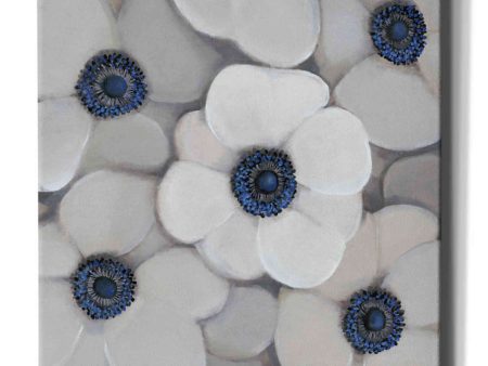 White Anemone I  by Tim O Toole, Canvas Wall Art Cheap