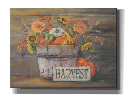 Fall Harvest Bucket  by Pam Britton, Canvas Wall Art For Sale