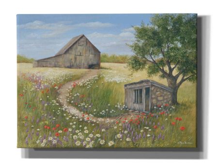 Country Wildflowers II  by Pam Britton, Canvas Wall Art Online