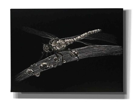 Dragonfly  by Avery Multer, Canvas Wall Art For Cheap