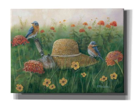 Bluebirds & Straw Hat  by Pam Britton, Canvas Wall Art Cheap