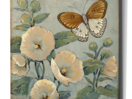 Butterfly & Hollyhocks I  by Tim O Toole, Canvas Wall Art Online now