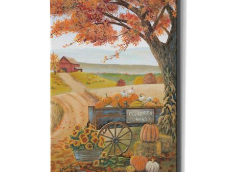 Harvest Pumpkins  by Pam Britton, Canvas Wall Art Supply