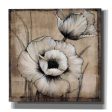 Neutral Poppies I  by Tim O Toole, Canvas Wall Art Online Sale