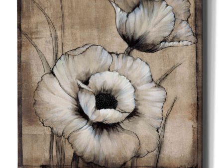 Neutral Poppies I  by Tim O Toole, Canvas Wall Art Online Sale