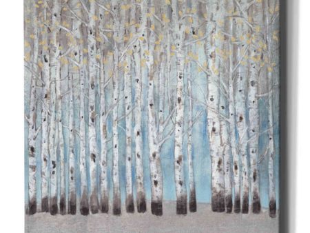 Into the Forest I  by Tim O Toole, Canvas Wall Art Online now