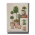 Potting Bench & Topiaries I  by Pam Britton, Canvas Wall Art Supply