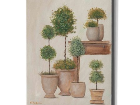 Potting Bench & Topiaries I  by Pam Britton, Canvas Wall Art Supply