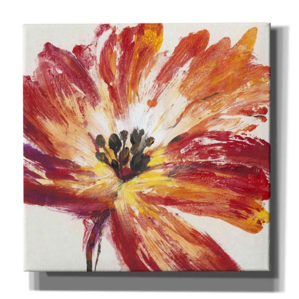 Fleur Rouge I  by Tim O Toole, Canvas Wall Art Online now