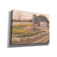 Barn & Sunflowers I  by Pam Britton, Canvas Wall Art Online