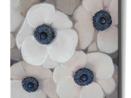 White Anemone II  by Tim O Toole, Canvas Wall Art Discount