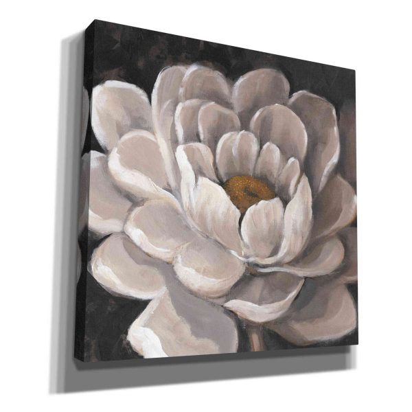 Neutral Fleur I  by Tim O Toole, Canvas Wall Art Sale