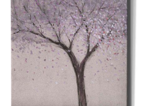 Spring Blossom I  by Tim O Toole, Canvas Wall Art Online