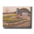 Barn & Sunflowers I  by Pam Britton, Canvas Wall Art Online