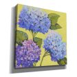 Spring Hydrangeas II  by Tim O Toole, Canvas Wall Art Cheap