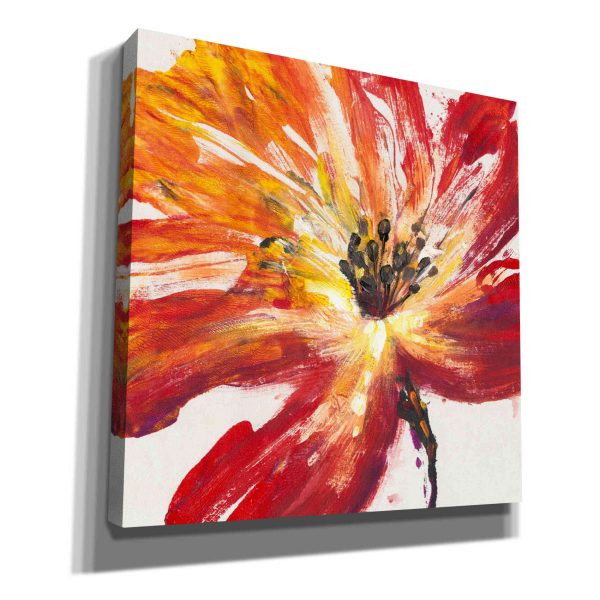 Fleur Rouge II  by Tim O Toole, Canvas Wall Art For Sale