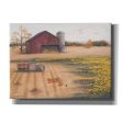 Barn & Sunflowers II  by Pam Britton, Canvas Wall Art Sale