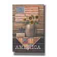 Rustic America  by Pam Britton, Canvas Wall Art Online now