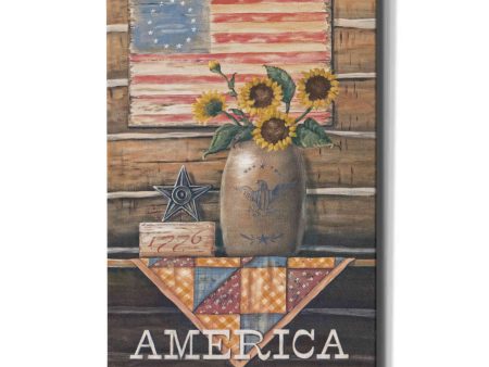 Rustic America  by Pam Britton, Canvas Wall Art Online now