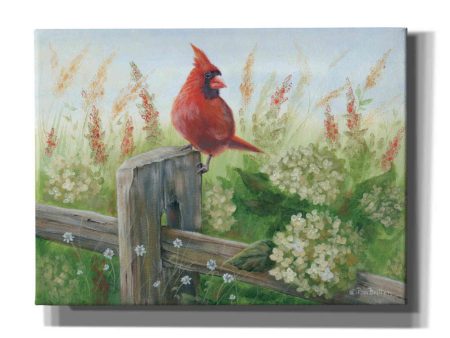 Cardinal on Fence  by Pam Britton, Canvas Wall Art Online