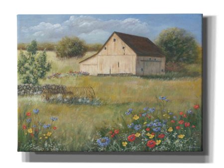 Country Wildflowers I  by Pam Britton, Canvas Wall Art For Discount