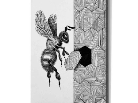 Escher Bee   by Avery Multer, Canvas Wall Art Online Hot Sale