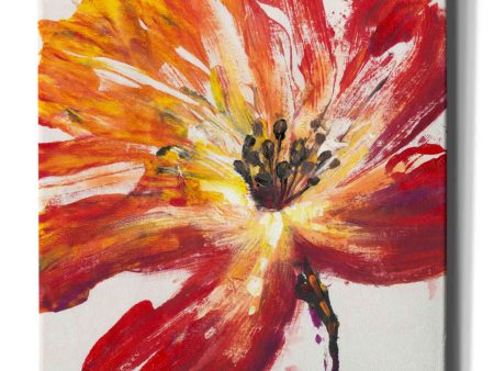 Fleur Rouge II  by Tim O Toole, Canvas Wall Art For Sale