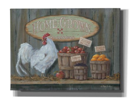 Homegrown Goodness  by Pam Britton, Canvas Wall Art on Sale