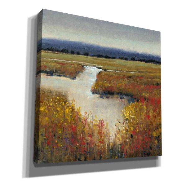 Marsh Land I  by Tim O Toole, Canvas Wall Art Discount