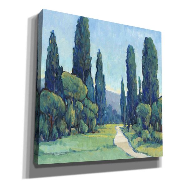 Cypress Path II  by Tim O Toole, Canvas Wall Art Cheap