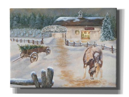 White Barn Tree Farm  by Pam Britton, Canvas Wall Art Online Hot Sale