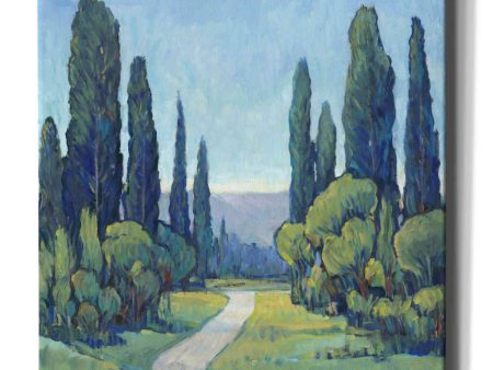 Cypress Path I  by Tim O Toole, Canvas Wall Art Sale